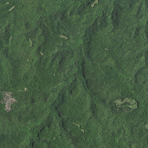 Aerial imagery of Cane Branch, KY