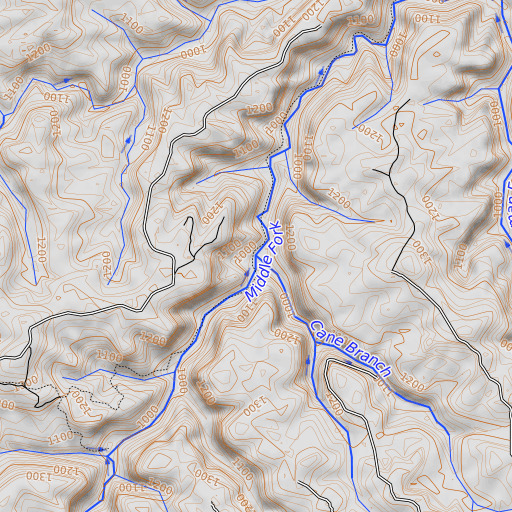 OpenTopoMap map of Cane Branch, KY