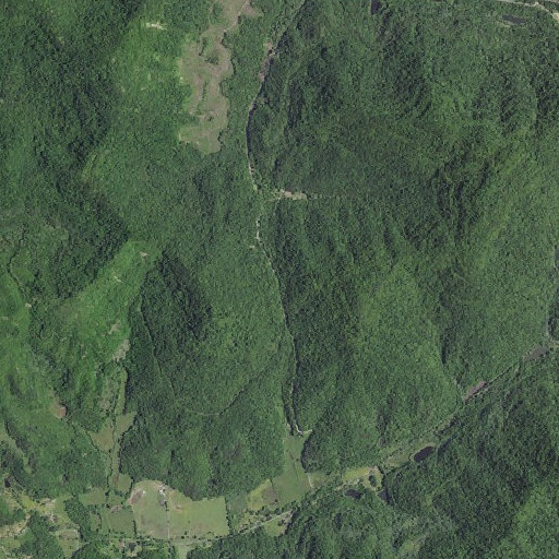Aerial imagery of Cane Gap, KY