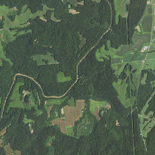 Aerial imagery of Caney Branch, KY