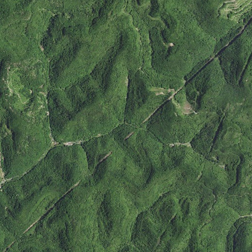 Aerial imagery of Carter Roark Branch, KY