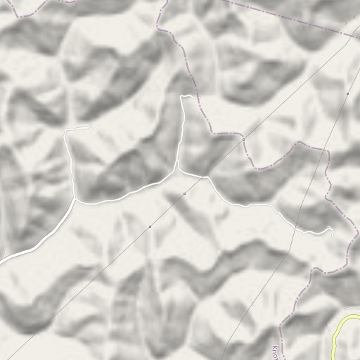 OpenStreetMap map of Carter Roark Branch, KY