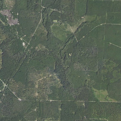 Aerial imagery of Lick Branch, AR