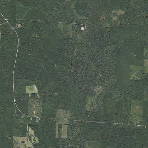 Aerial imagery of Lick Branch, AR