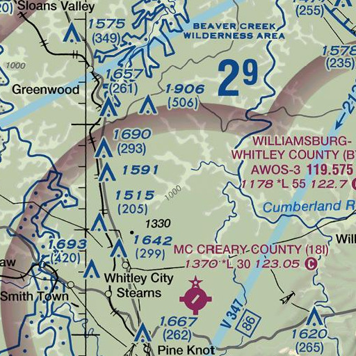 FAA VFR chart of Chestnut Flats, KY