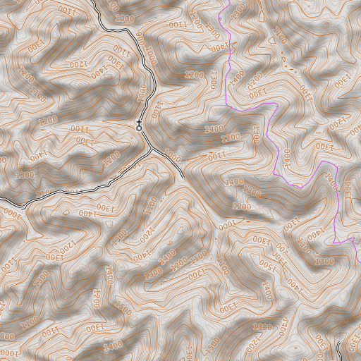 OpenTopoMap map of Chestnut Gap Branch, KY