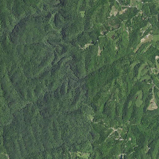 Aerial imagery of Chestnut Log Branch, KY