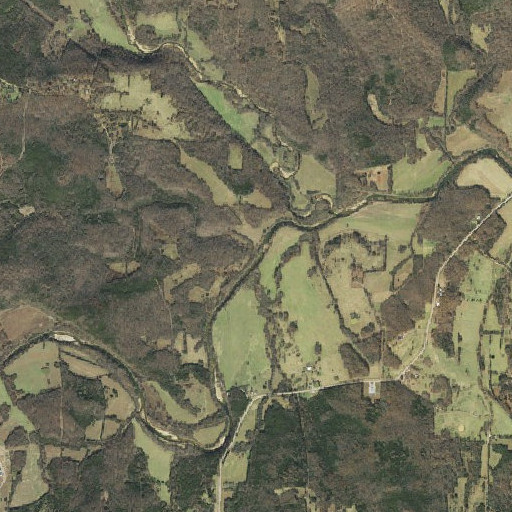 Aerial imagery of Lick Branch, AR