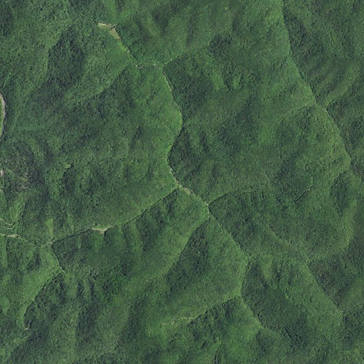 Aerial imagery of Chicken Branch, KY