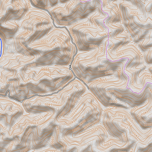 OpenTopoMap map of Chicken Branch, KY