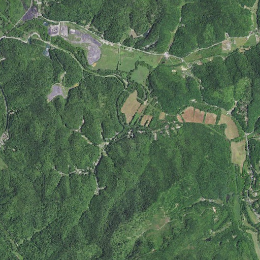 Aerial imagery of Chop Bottom Branch, KY