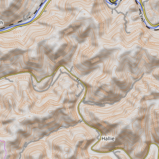 OpenTopoMap map of Cliff Branch, KY