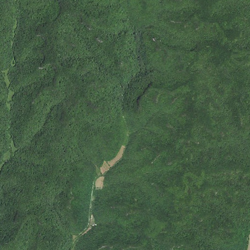 Aerial imagery of Cold Spring Branch, KY