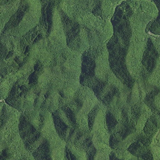 Aerial imagery of Cold Spring Hollow, KY