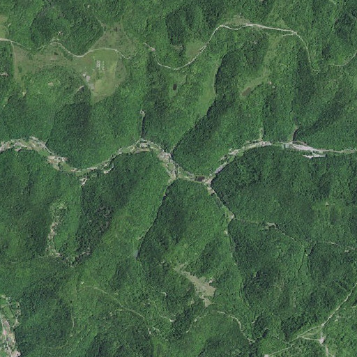 Aerial imagery of Collins Branch, KY