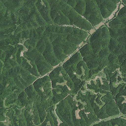 Aerial imagery of Cove Branch, KY