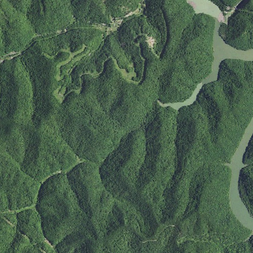 Aerial imagery of Cow Branch, KY