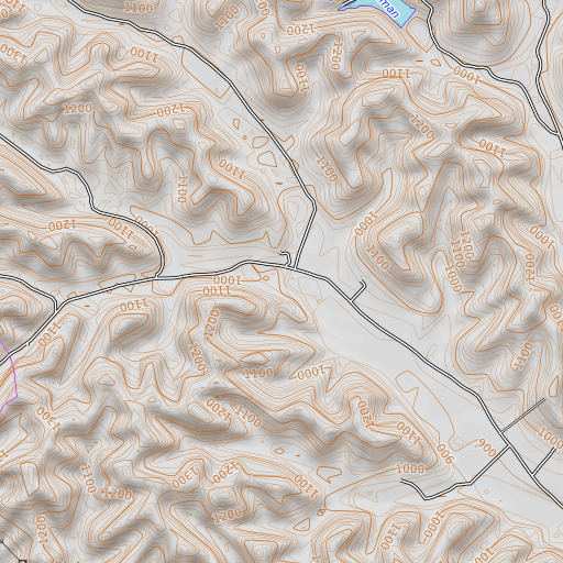 OpenTopoMap map of Cow Branch, KY