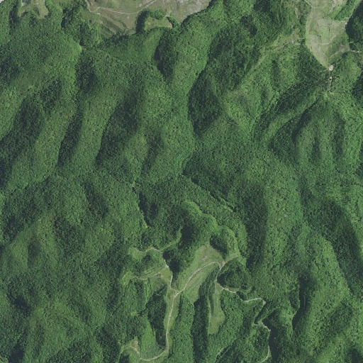 Aerial imagery of Cow Fork, KY