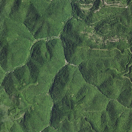 Aerial imagery of Cow Fork, KY