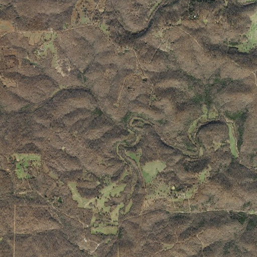Aerial imagery of Lige Branch, AR