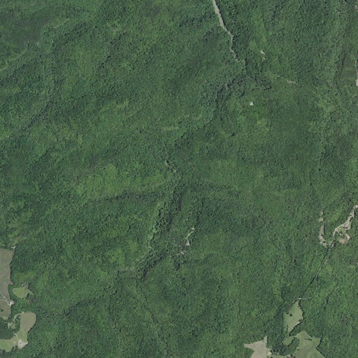 Aerial imagery of Cox Branch, KY