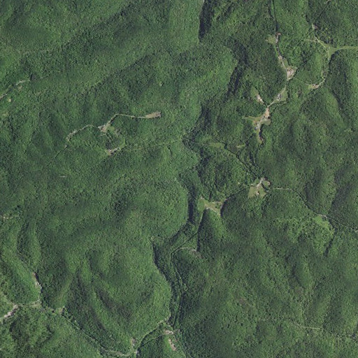 Aerial imagery of Cox Cave Branch, KY