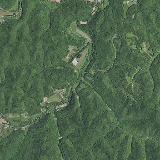 Aerial imagery of Cradlebow Branch, KY