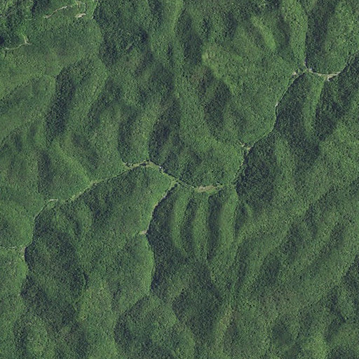 Aerial imagery of Cucumber Branch, KY
