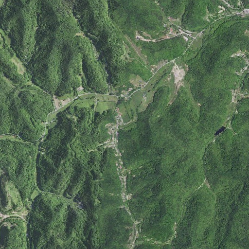 Aerial imagery of Curry Branch, KY
