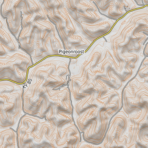 OpenTopoMap map of Curry Branch, KY