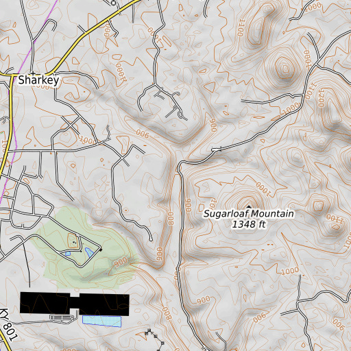OpenTopoMap map of Curtis Branch, KY