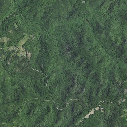 Aerial imagery of Cutoff Branch, KY