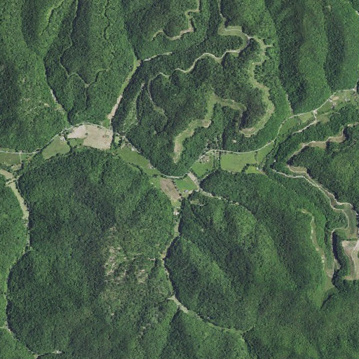 Aerial imagery of Danger Branch, KY