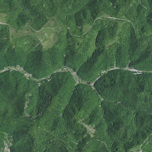 Aerial imagery of Dicks Branch, KY