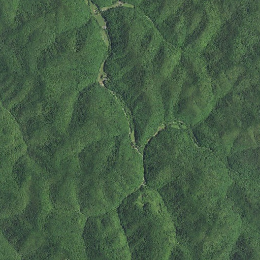 Aerial imagery of Drowned Branch, KY