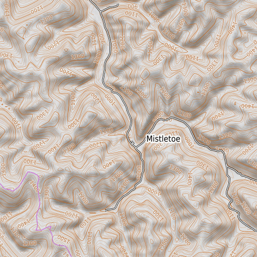 OpenTopoMap map of Drowned Branch, KY