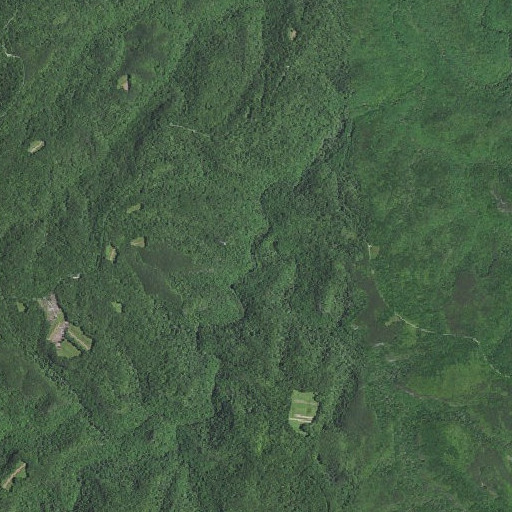 Aerial imagery of Drury Branch, KY