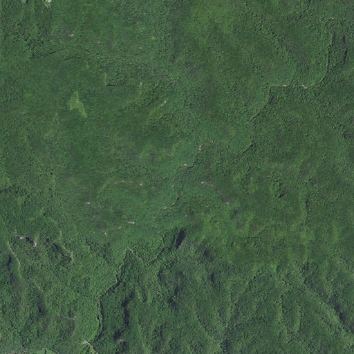 Aerial imagery of Garrett Branch, KY
