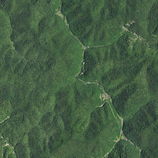Aerial imagery of Grubb Branch, KY
