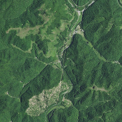 Aerial imagery of Hicks Branch, KY