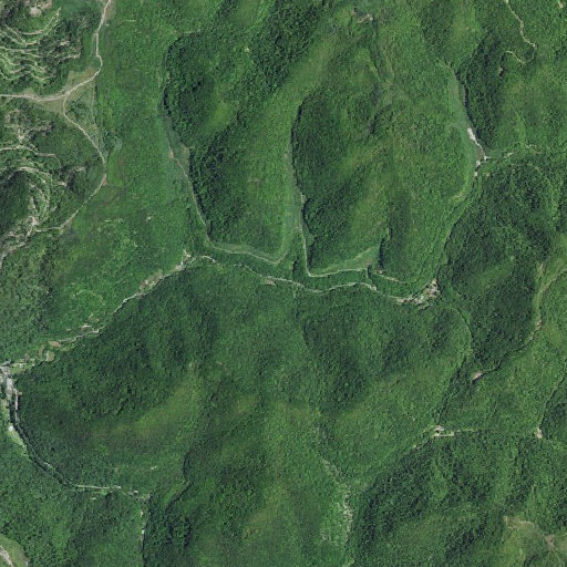 Aerial imagery of Horse Fork, KY