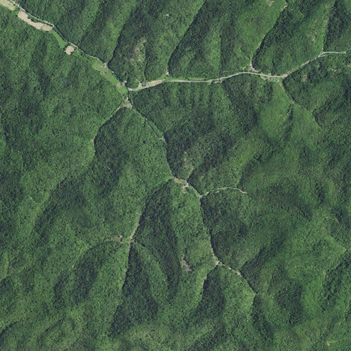 Aerial imagery of Jennings Branch, KY