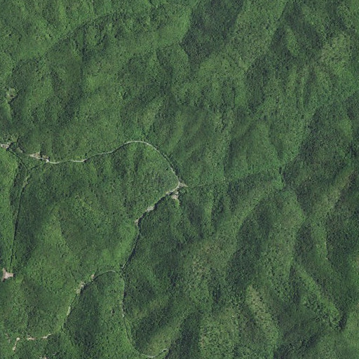 Aerial imagery of Left Fork Upper Bear Creek, KY