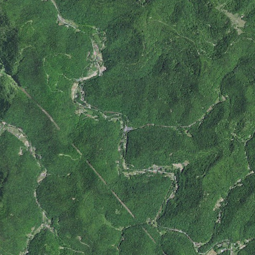 Aerial imagery of Levi Lewis Branch, KY