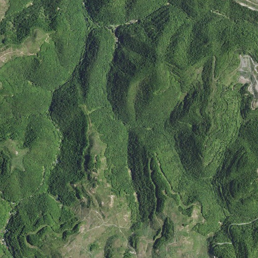 Aerial imagery of Long Fork, KY