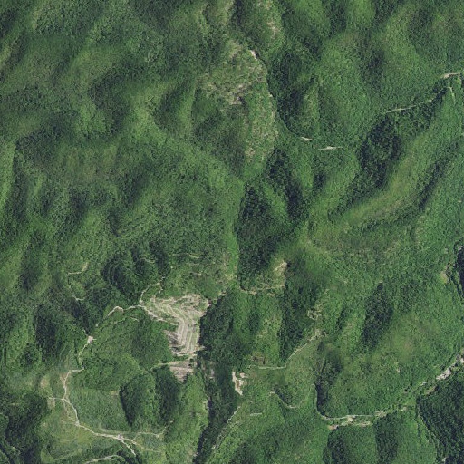 Aerial imagery of Long Fork, KY