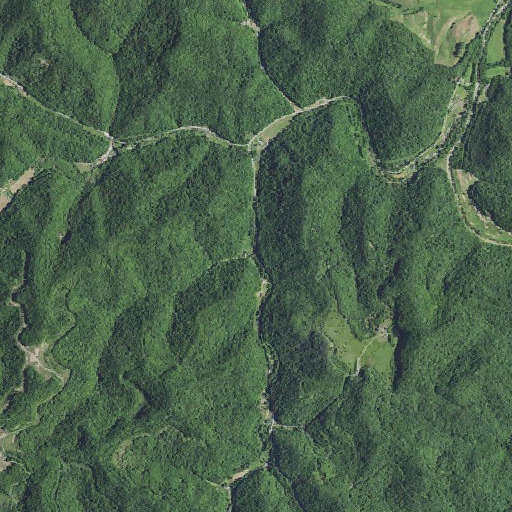 Aerial imagery of Miller Branch, KY