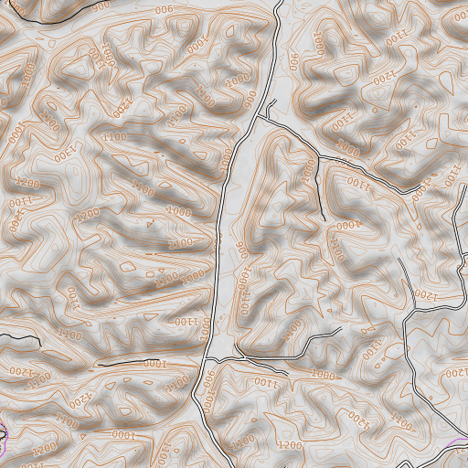 OpenTopoMap map of Millseep Branch, KY