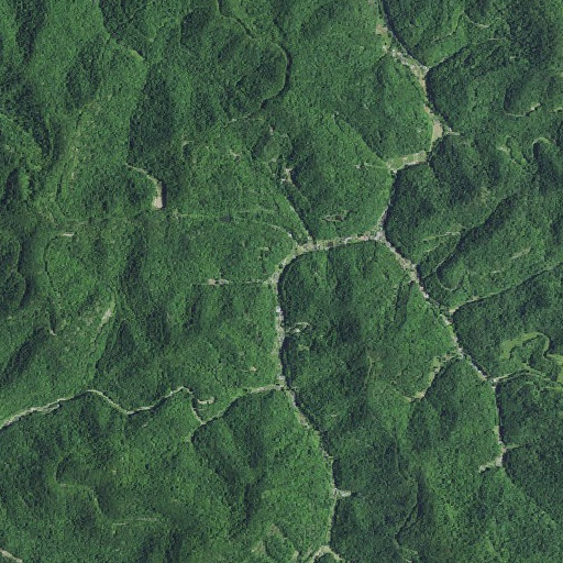 Aerial imagery of Nats Branch, KY